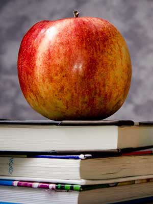 ddos在线攻击测试网站